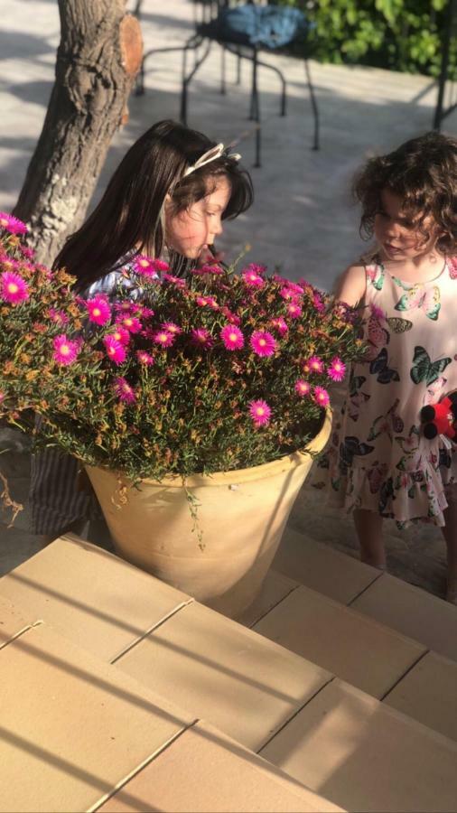 Trigona Garden Suite Ното Экстерьер фото