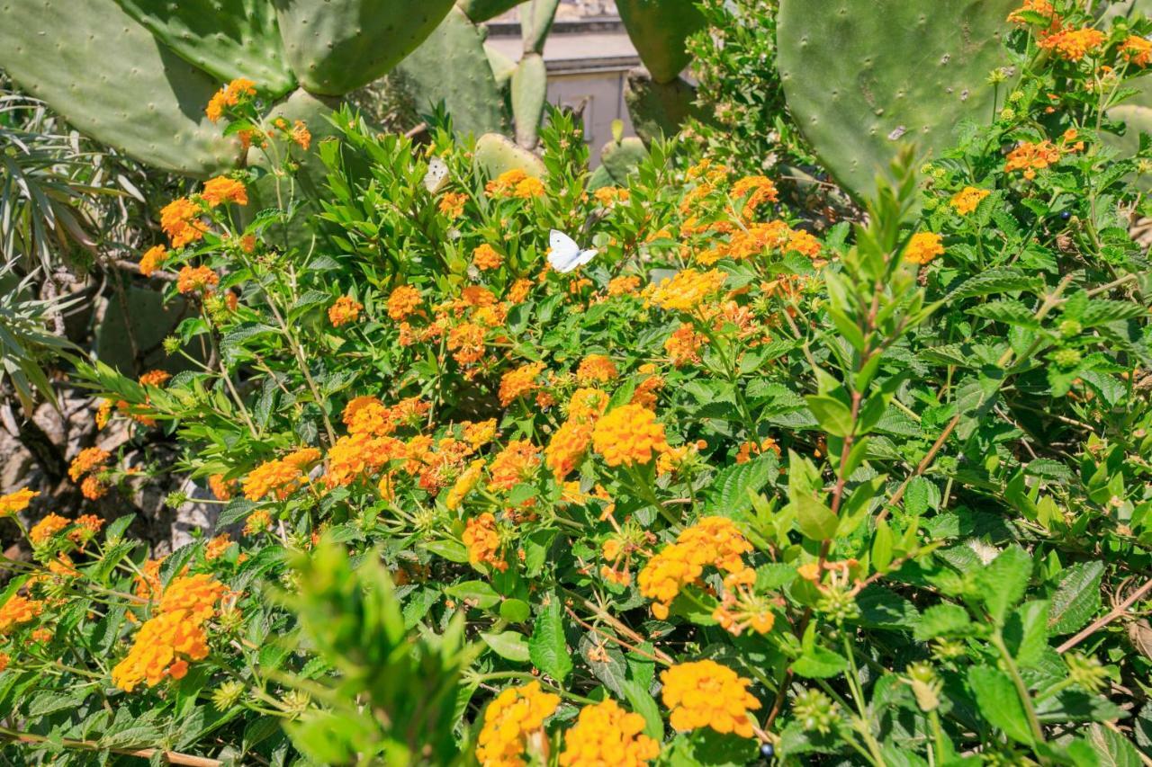 Trigona Garden Suite Ното Экстерьер фото